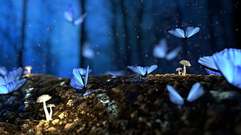 Magical Forest Photoshoots